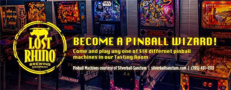 Silverball Sanctum at Lost Rhino Brewing Co photo 3