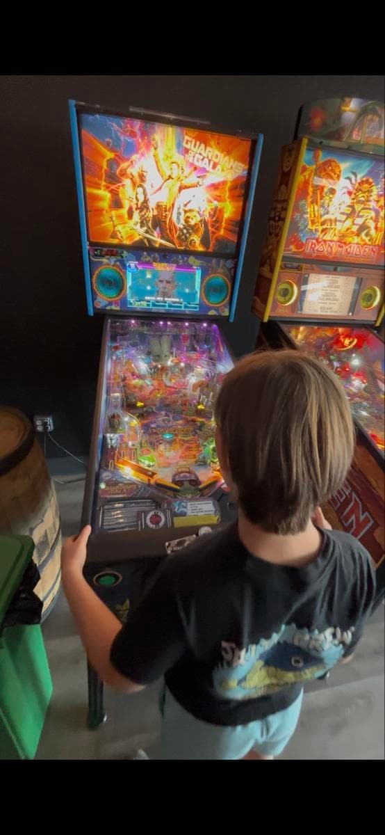 The Getaway Pinball Arcade photo 1