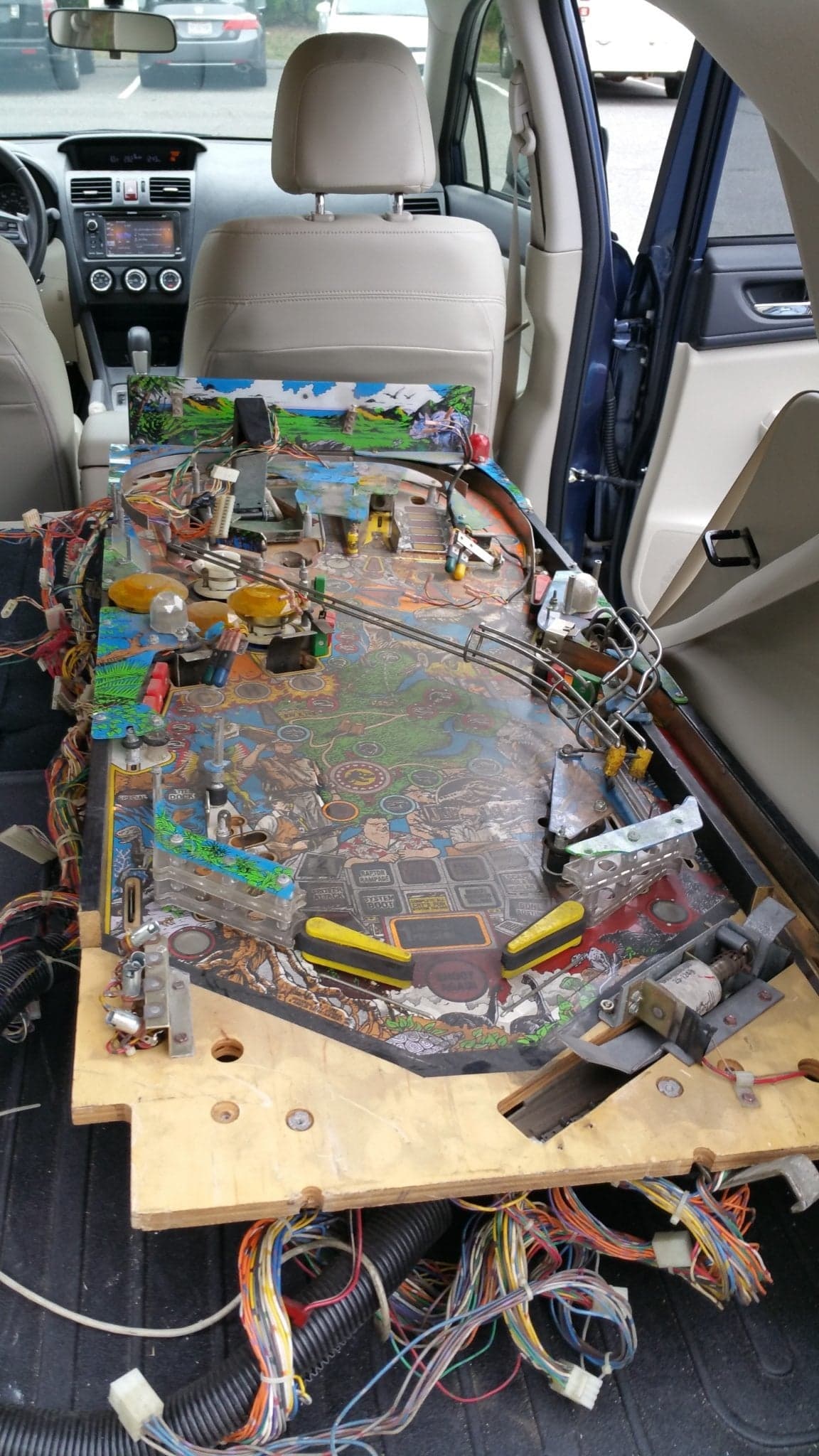 a dirty jurassic park playfield