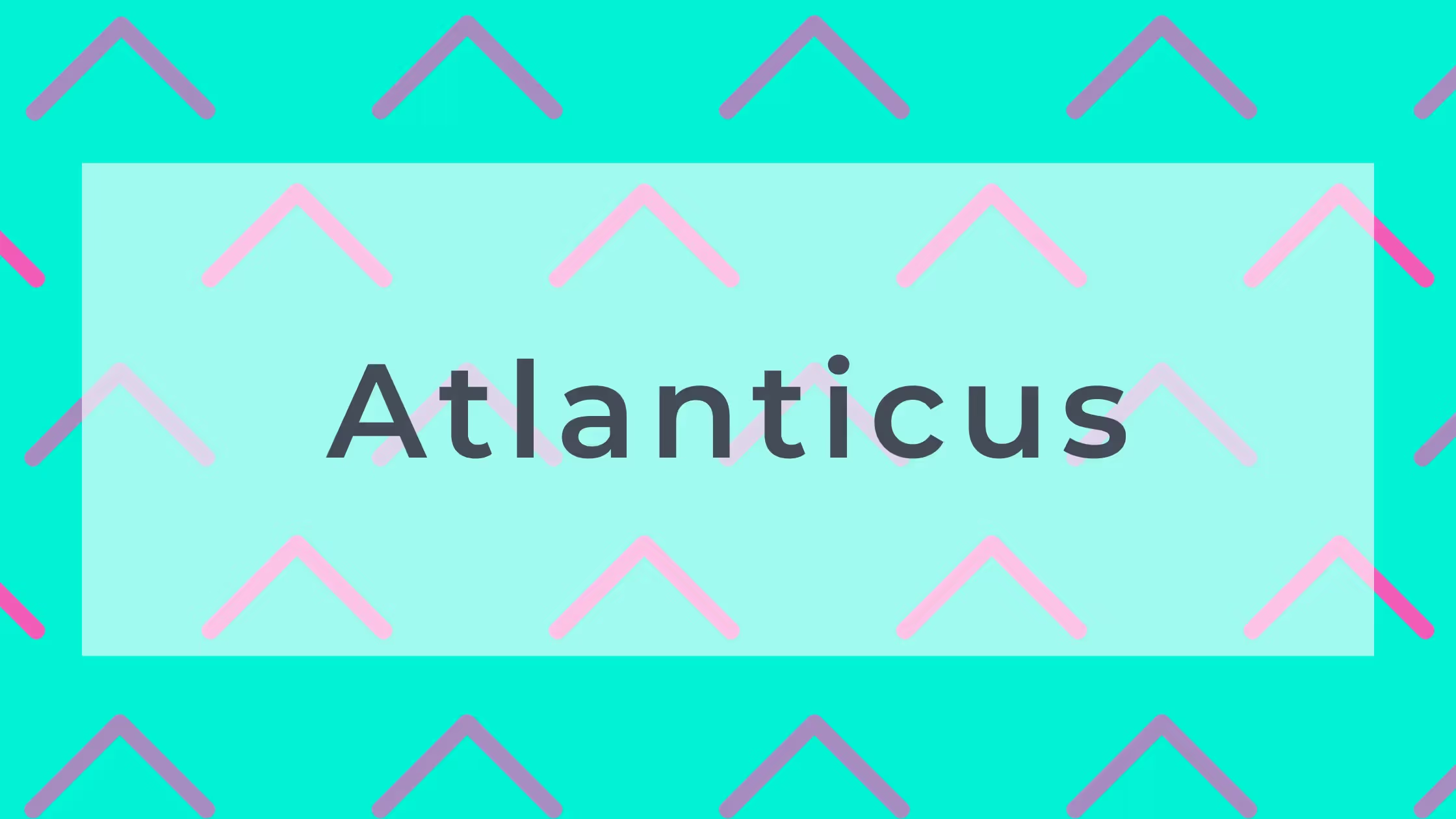 Atlanticus