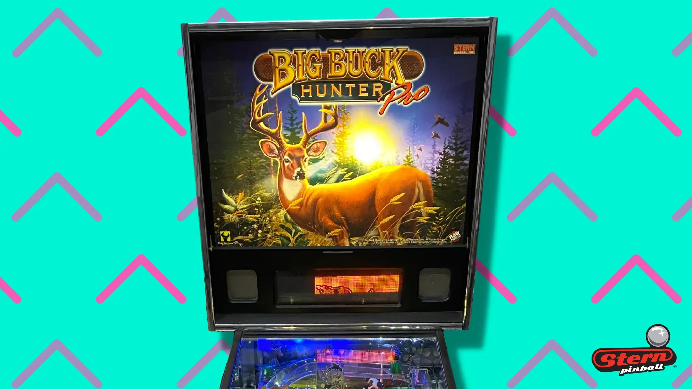 Big Buck Hunter Pro