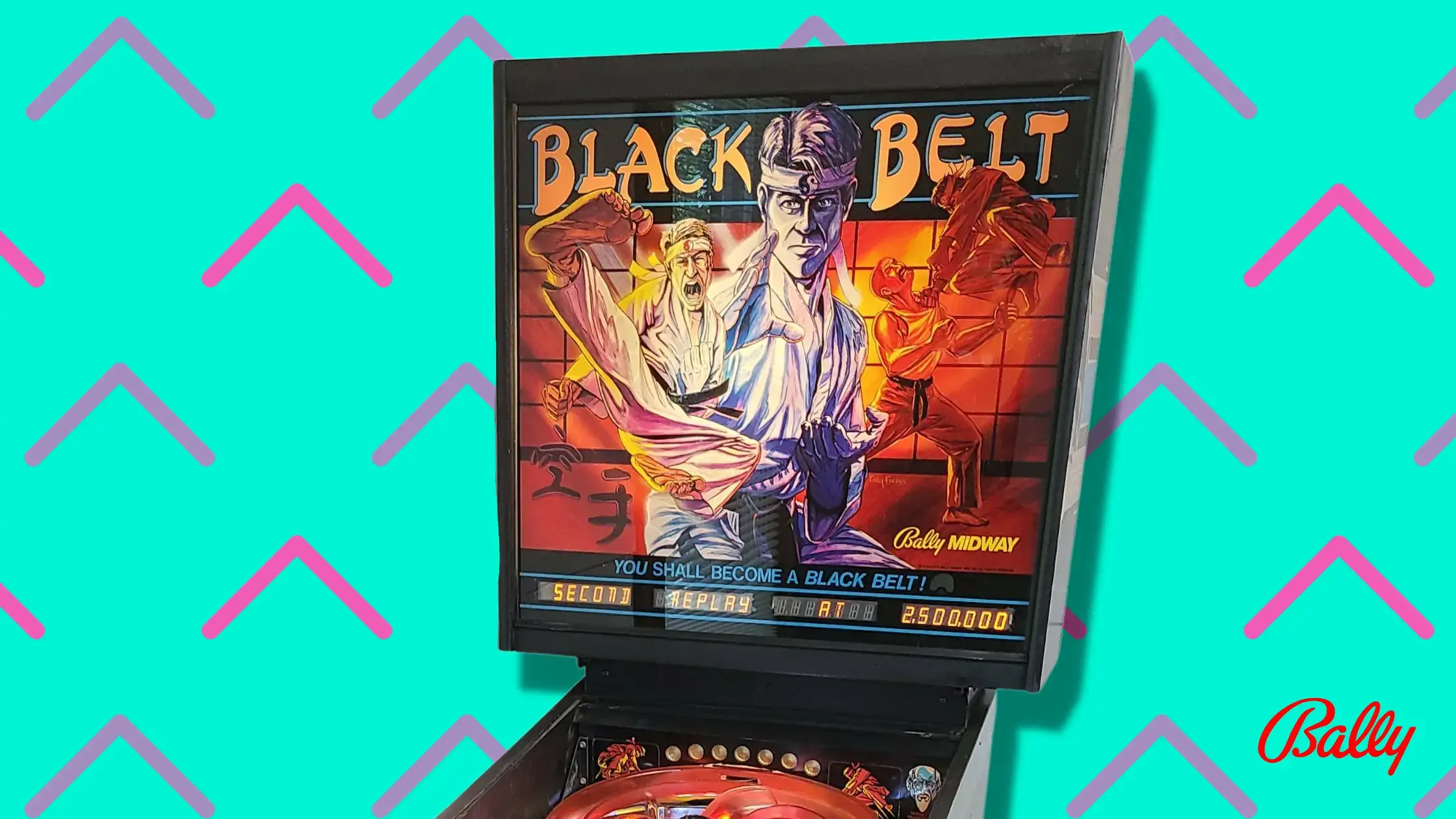 Black Belt / Karate Fight