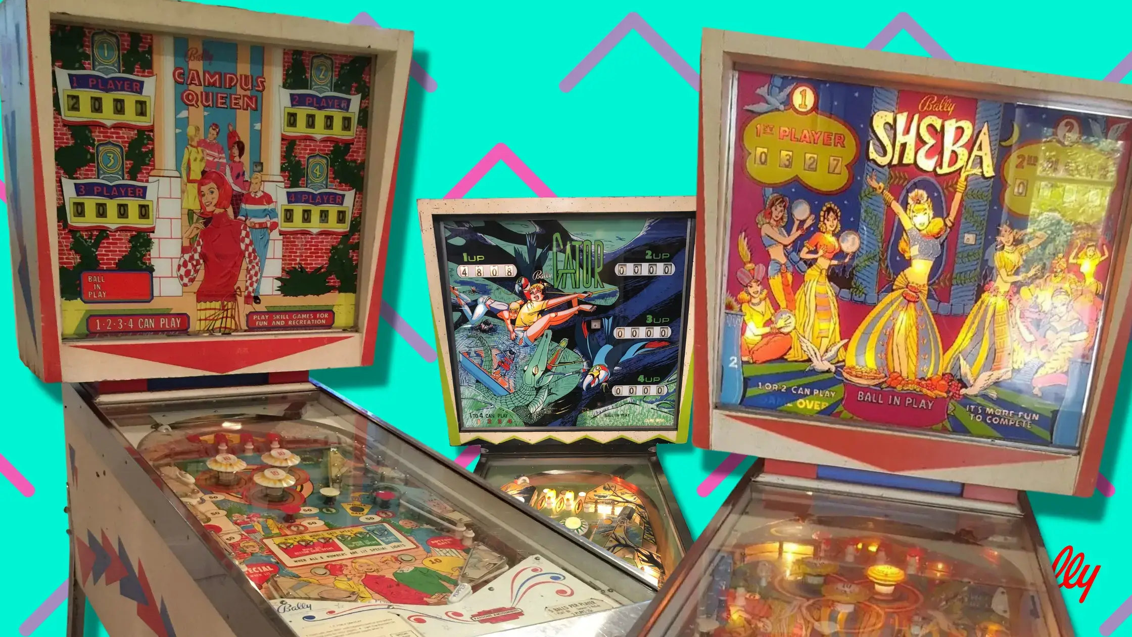 Gator / Sheba / Campus Queen