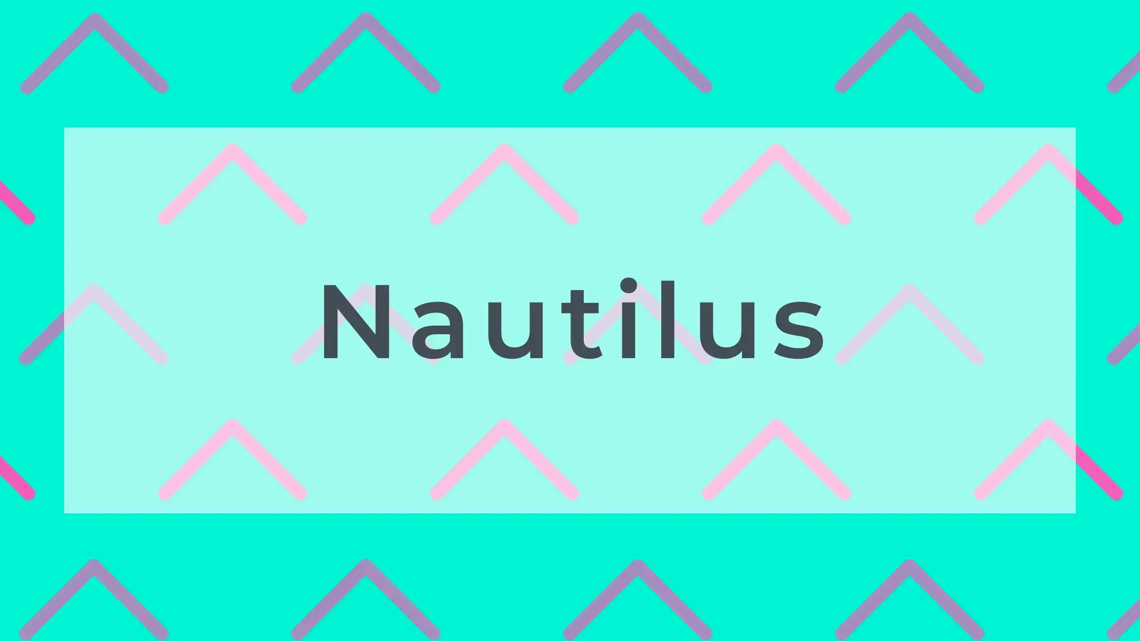 Nautilus