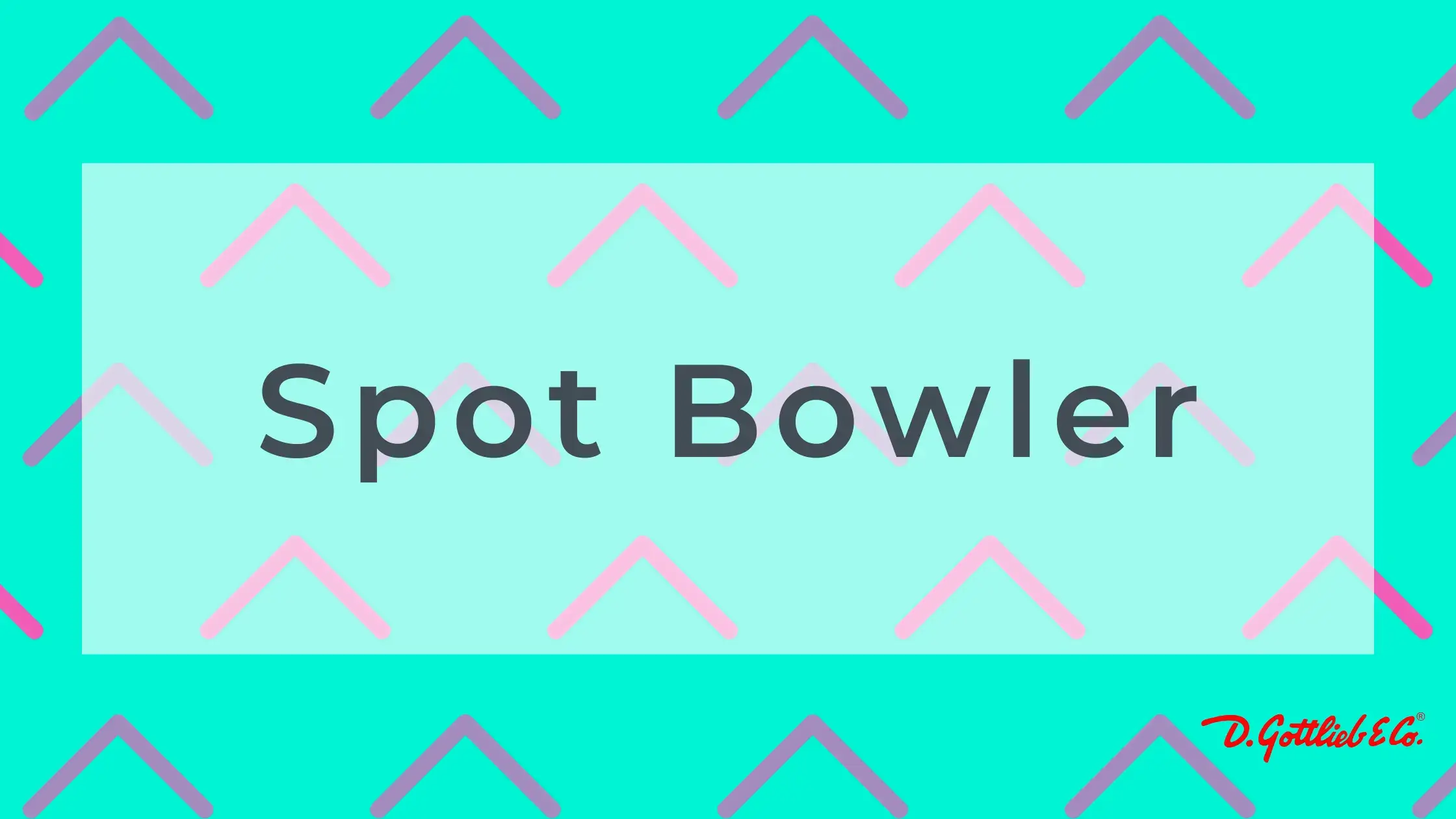 Spot Bowler