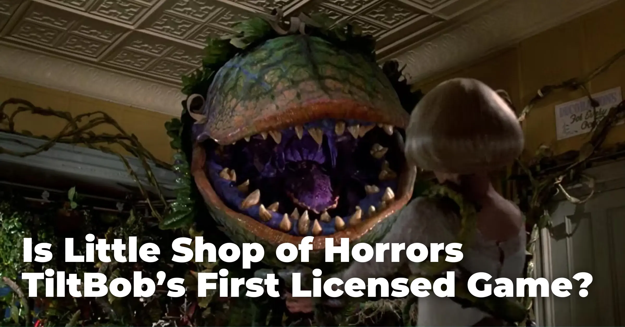 Is Little Shop of Horrors TiltBob’s First Licensed Game?